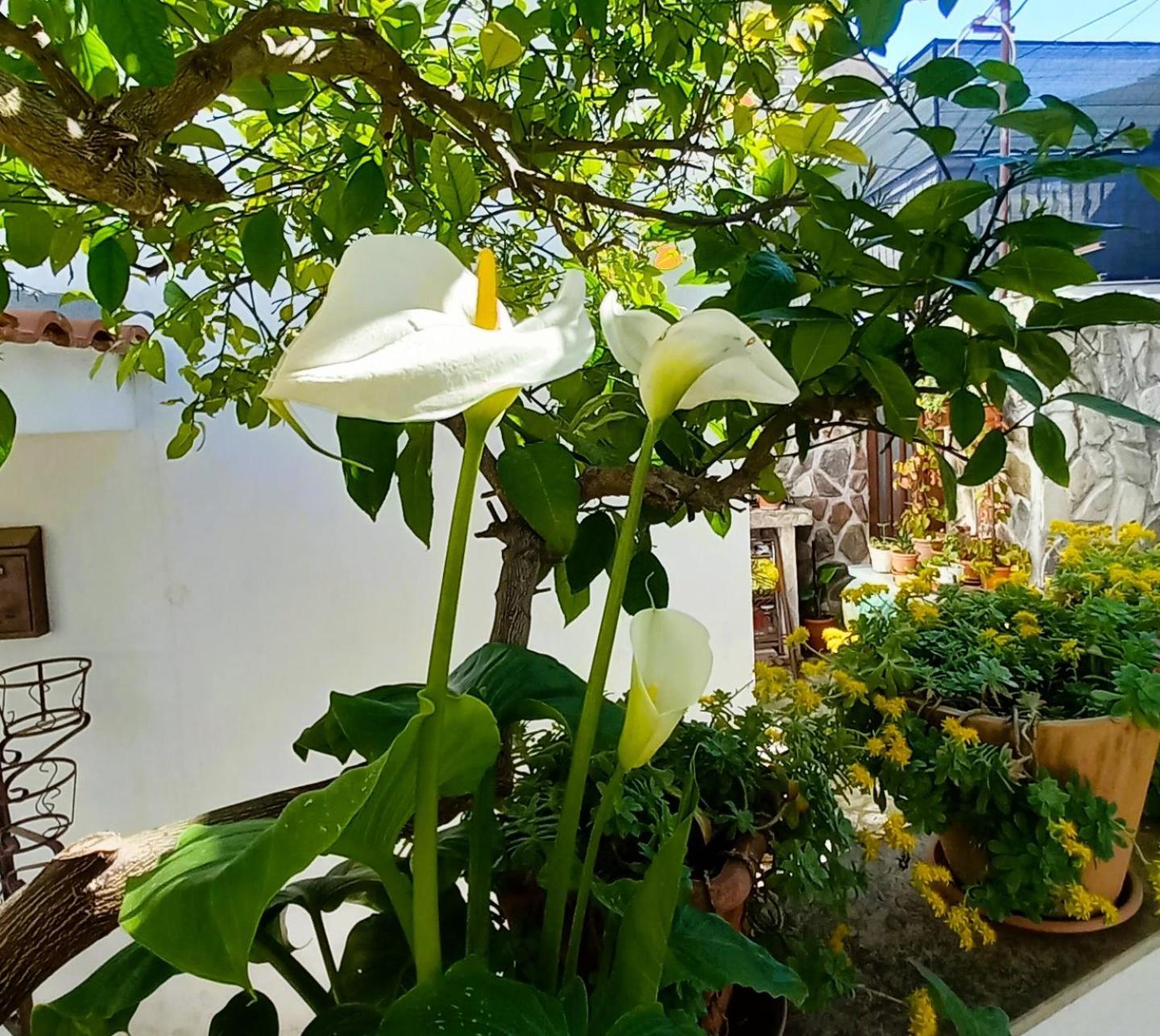 Apartments Donda Split Bagian luar foto